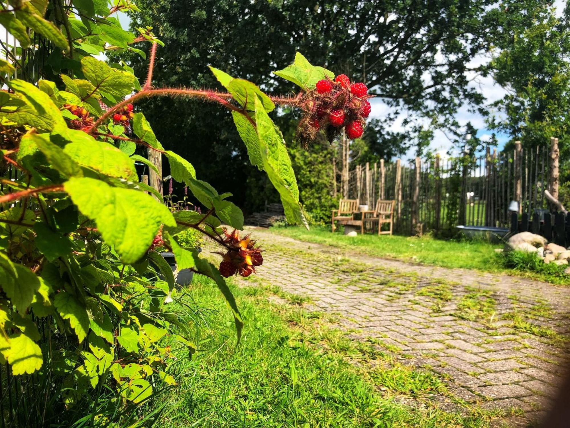 B&B Zandhuizen Eksteriør billede