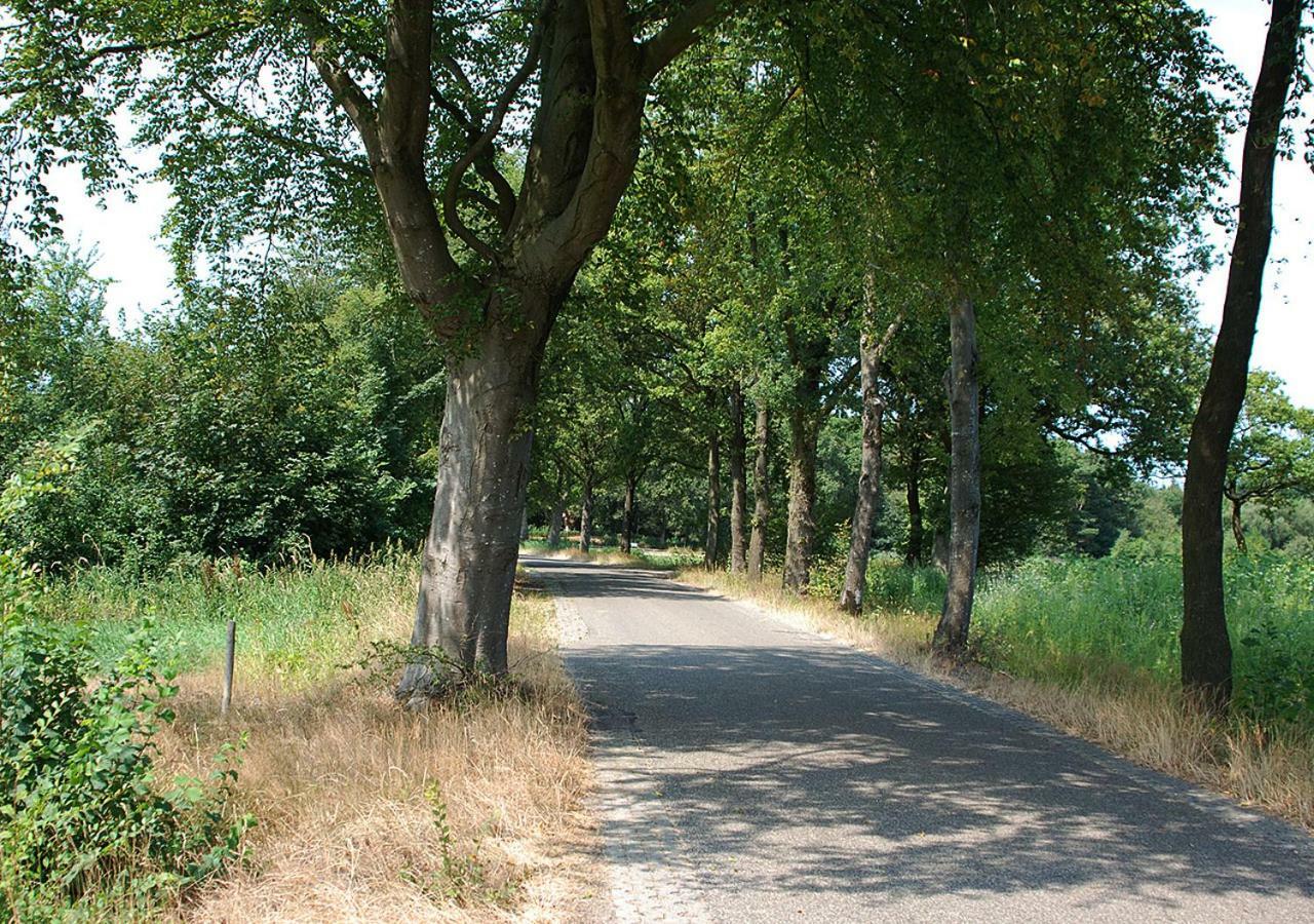B&B Zandhuizen Eksteriør billede